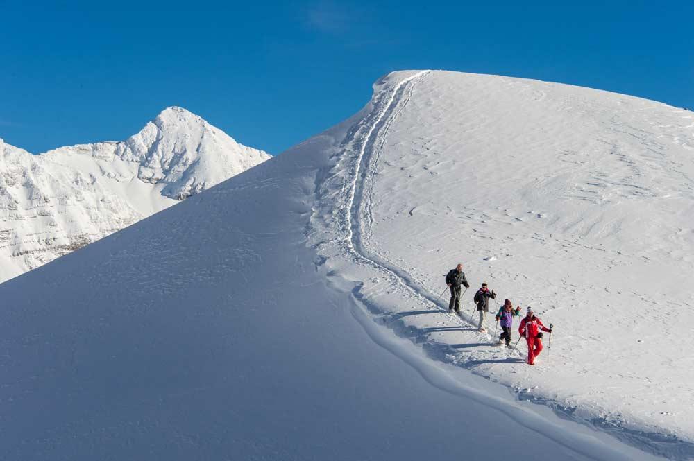 Gruppe Schneeschuhwanderer auf eine Berg