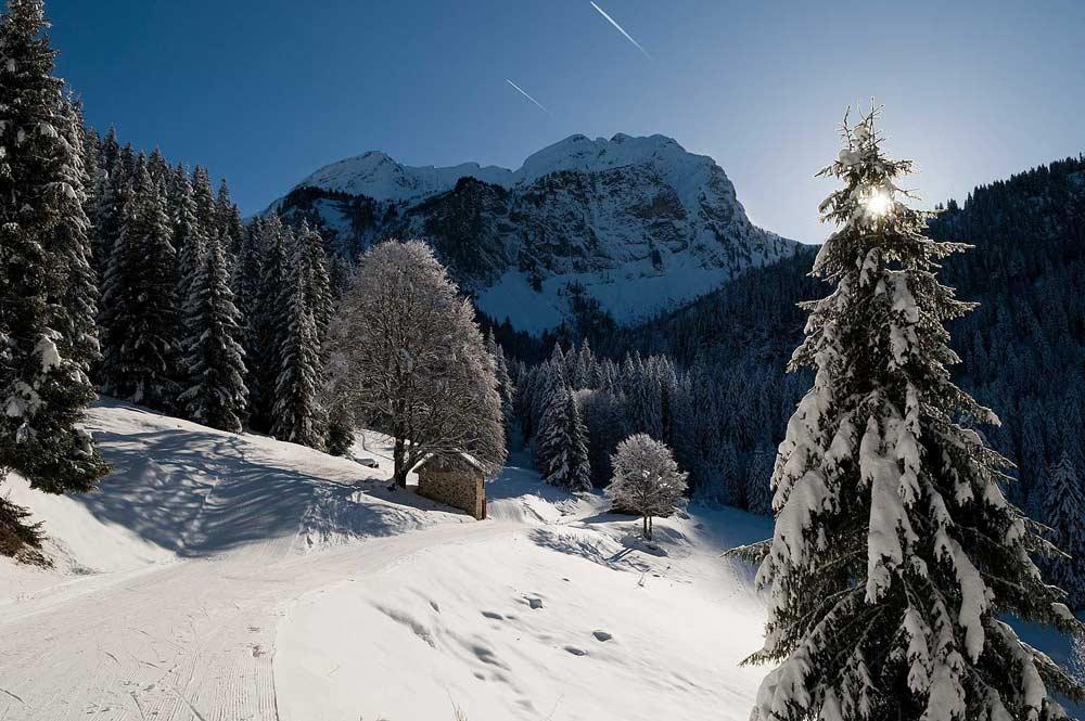 Winterwanderweg mit Hütte zwischen Bäumen