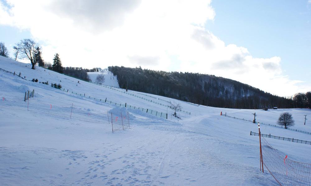 Blick in das Skigebiet Rouge Gazon