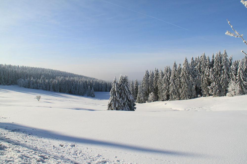 Traumhafte Winterlandschaft am Bocksberg