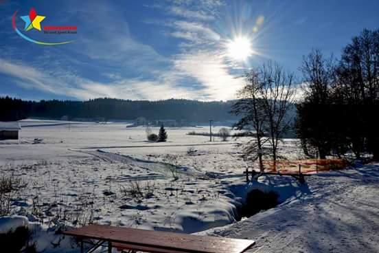 Winter in Zwiesel
