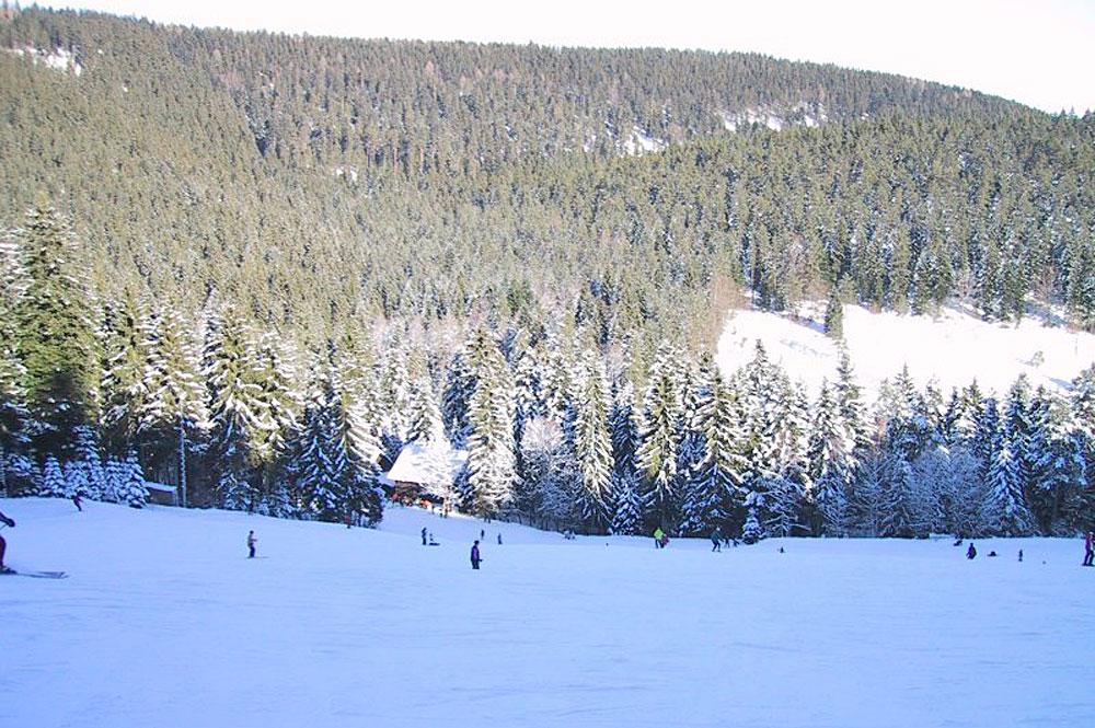 Blick über das Skigebiet und den Winterwald