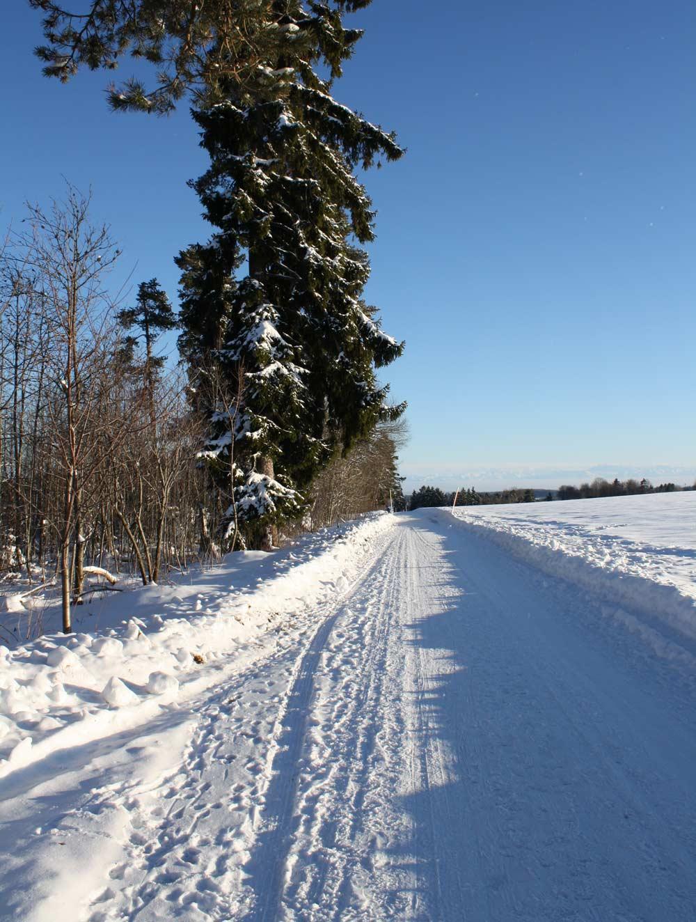 Winterwanderweg