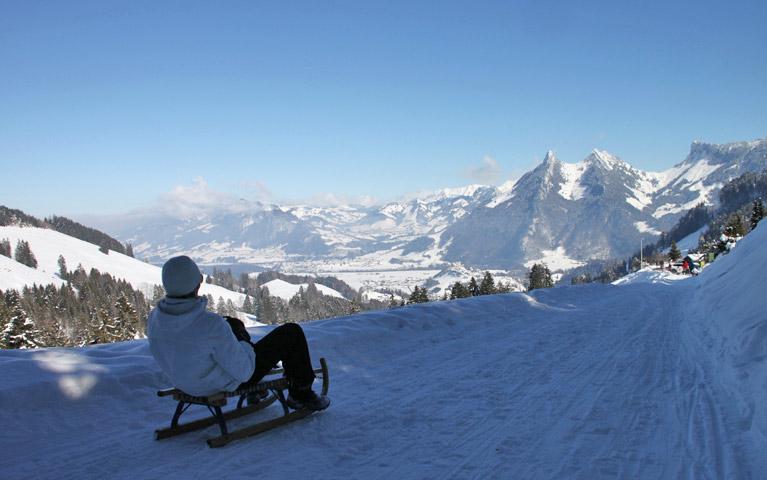 Schlittenfahrt im Skigebiet Moléson