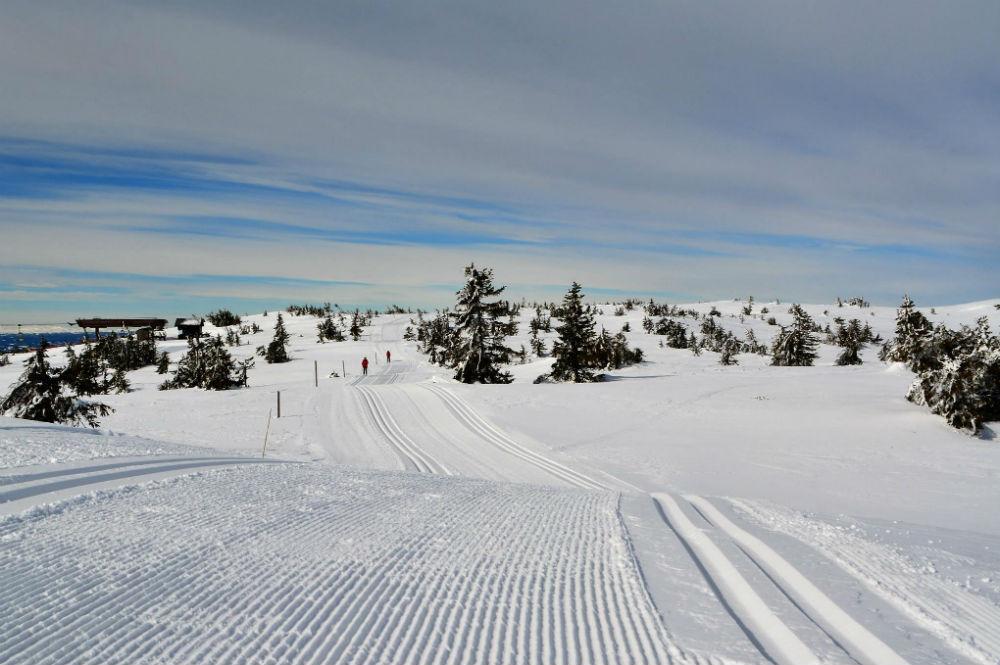 Loipen im Skigebiet Sjusjoen Skicenter