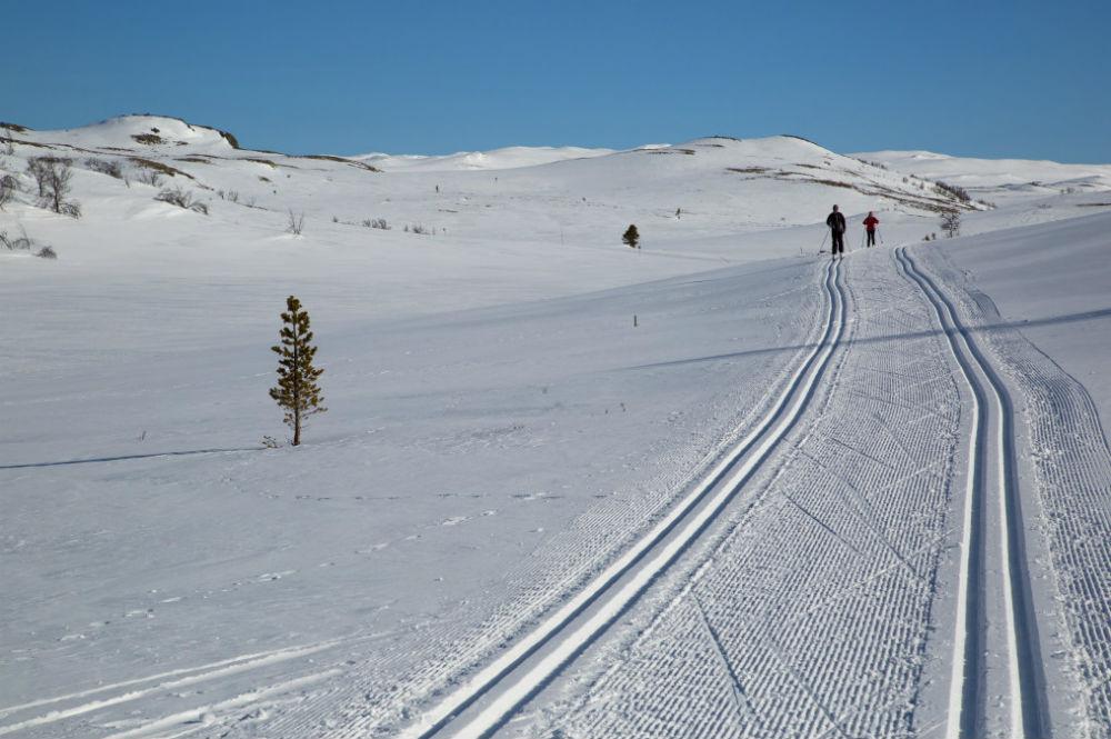 Langläufer im Skigebiet Nesbyen