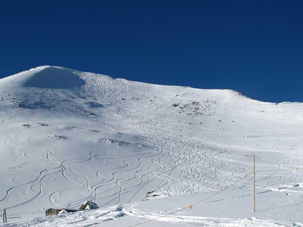 Breite Pisten und herrlicher Schnee  im Skigebiet Marmot Basin