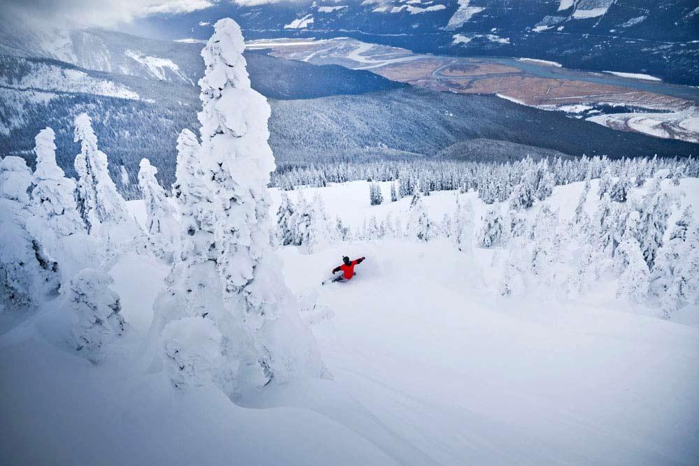 Snowboarder auf einem Treerun im Revelstoke Mountain Resort