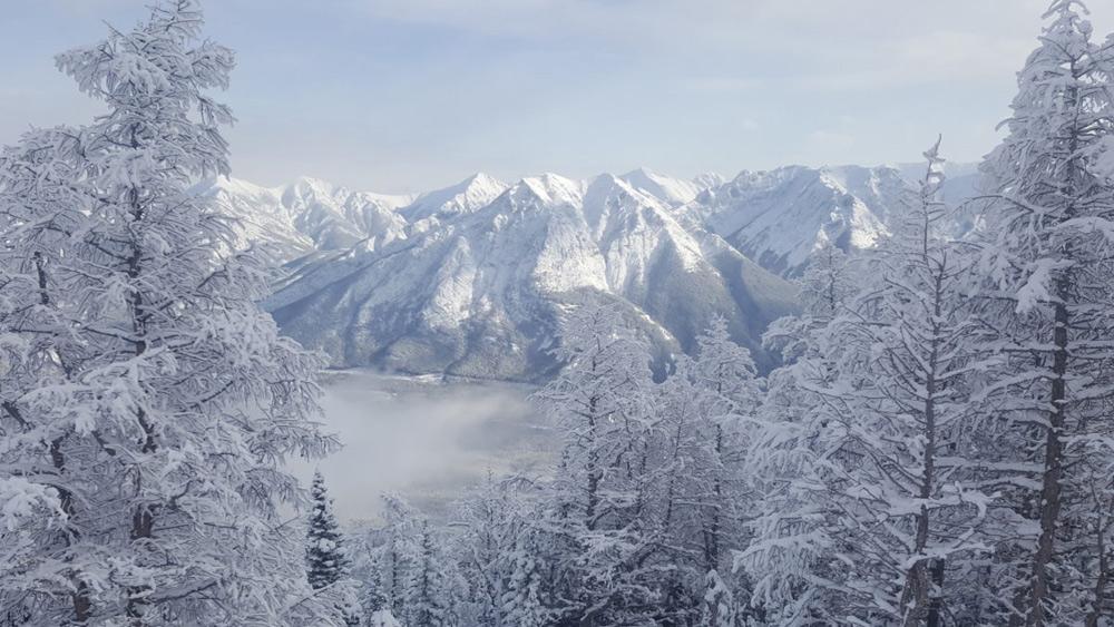 Panoramablick vom Skigebiet Nakiska