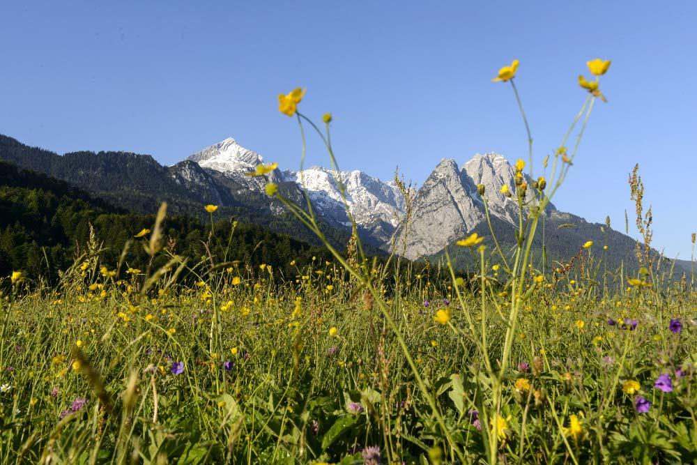 Blick auf das Wetterstein-Massiv mit den markantesten Gipfeln Alp- und Zugspitze