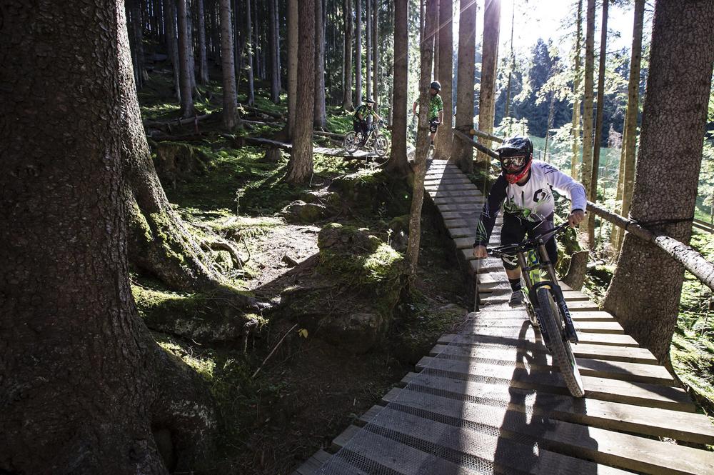 Mountainbiker auf einem Waldtrail in Saalfelden-Leogang